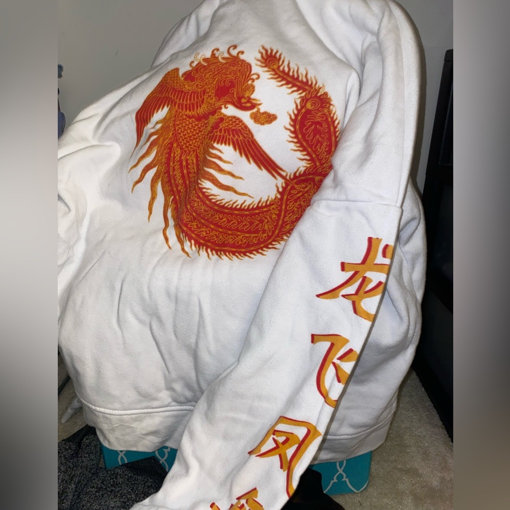 dragon hoodie